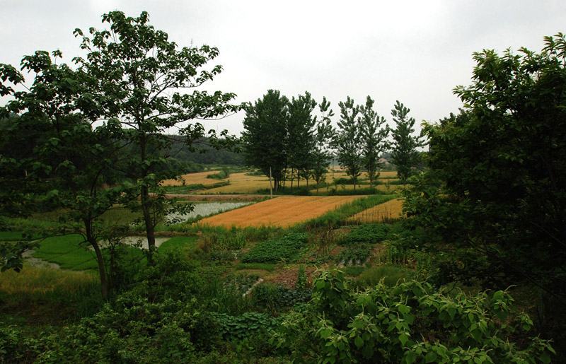 田园风光3 摄影 土豆花