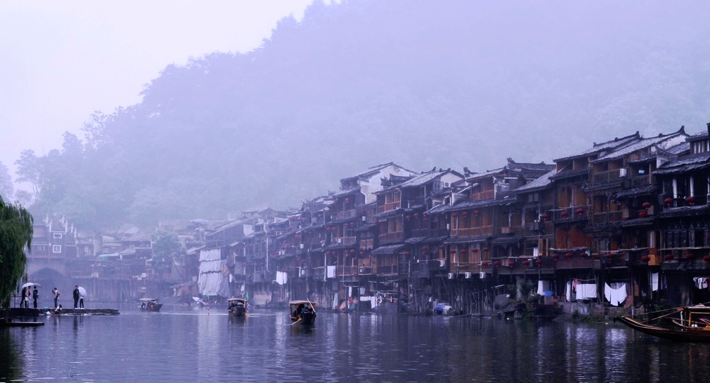 在雨中 摄影 菊韵