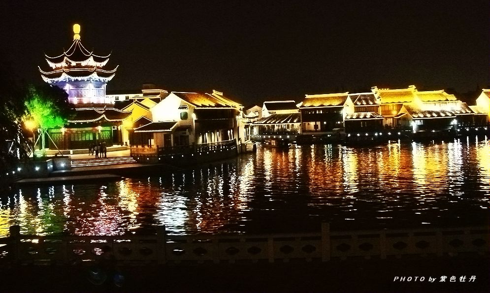 苏 州 夜 景 摄影 紫色牡丹