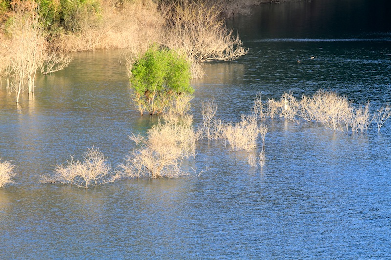 褒斜古道水景 摄影 比比皆是