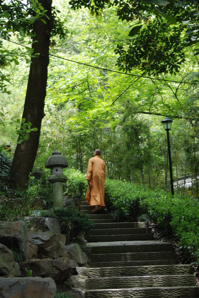 深山藏古寺 摄影 石径