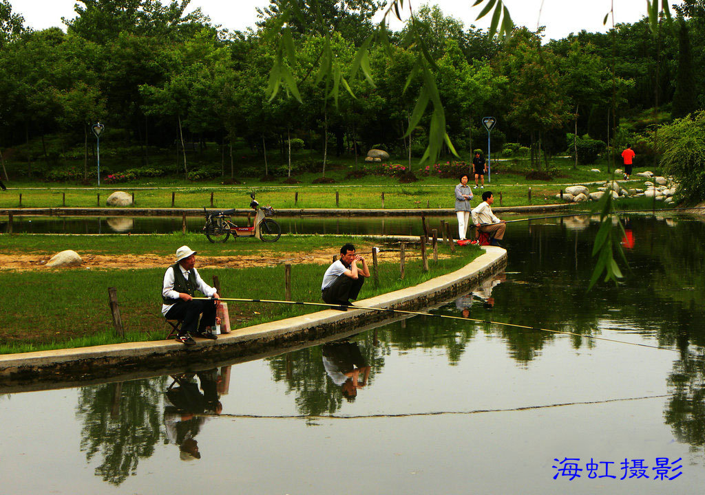 武汉和平公园湿地休闲区景点之一 摄影 haihongsy