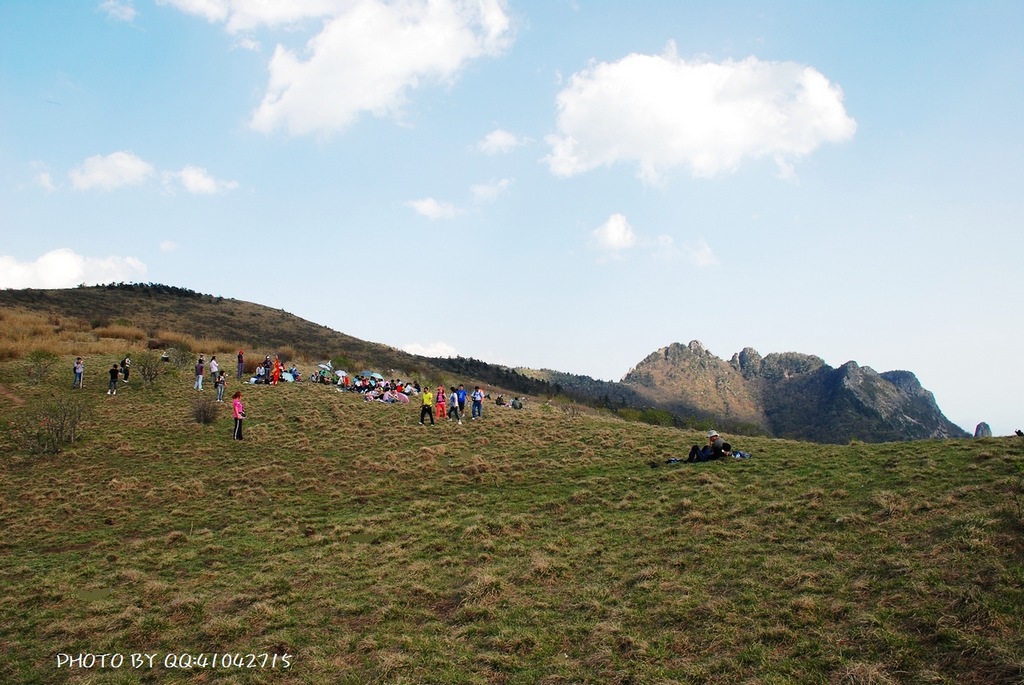 大秦岭高山草甸 摄影 阳光灿烂中