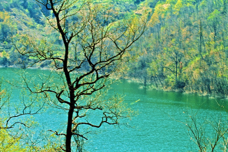 褒斜古道水景（九） 摄影 比比皆是