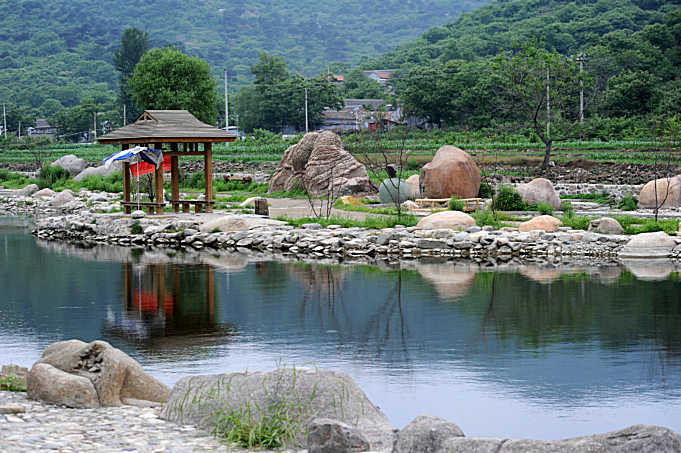 夏日湿地风光 摄影 画鸣