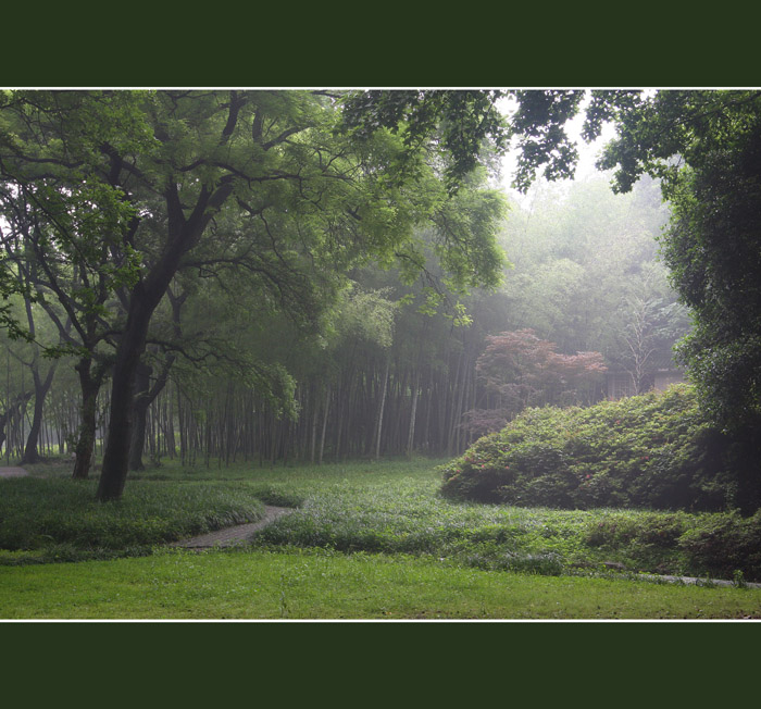 武汉-东湖 摄影 杨柳青青