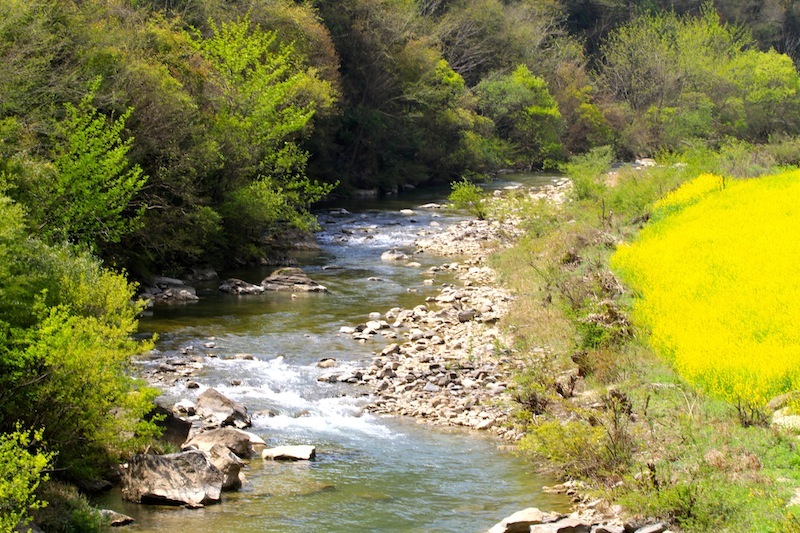 褒斜古道水景（十二） 摄影 比比皆是