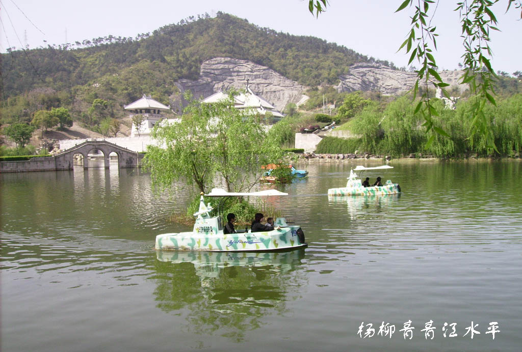 杨柳青青江水平 摄影 晚景