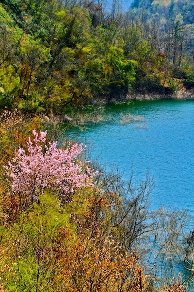 褒斜古道水景（十五） 摄影 比比皆是