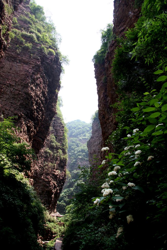 峡谷 摄影 赵文河