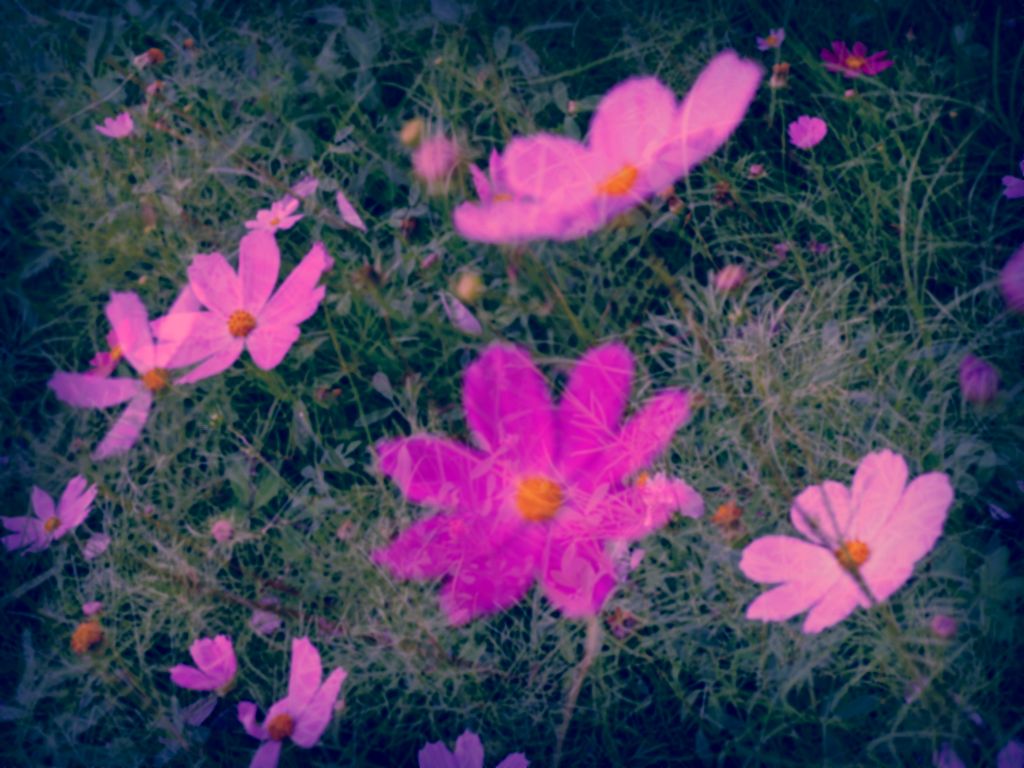 记忆 摄影 菲雨