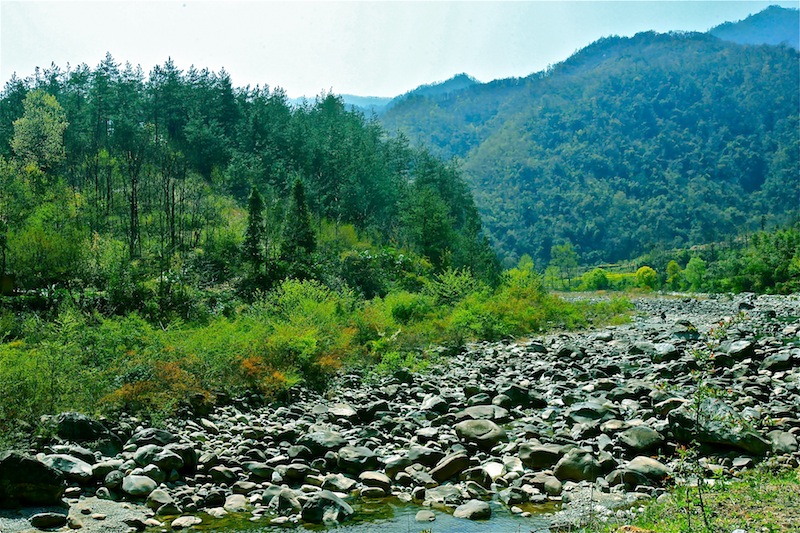 褒斜古道随景 摄影 比比皆是