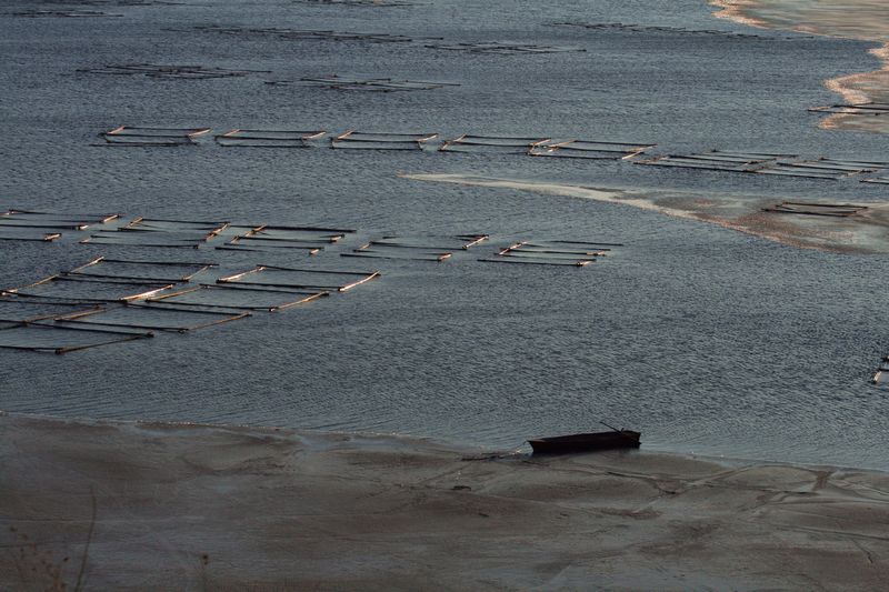 金海湖拾贝 3（北京平谷） 摄影 槐荫轩主a