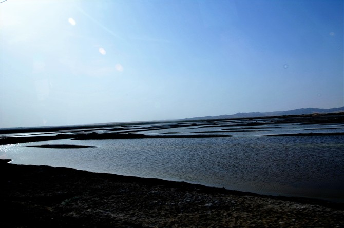 银川黄河湿地 摄影 平原孤狼