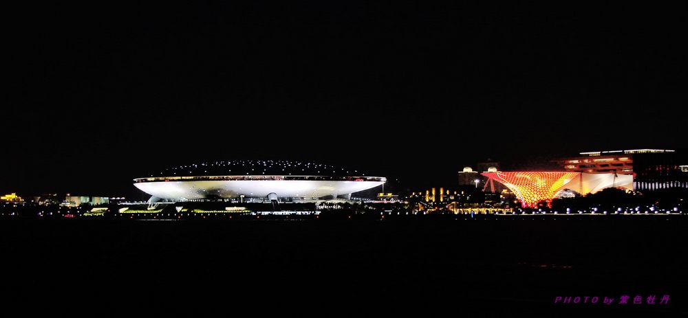 世 博 夜 景。 摄影 紫色牡丹