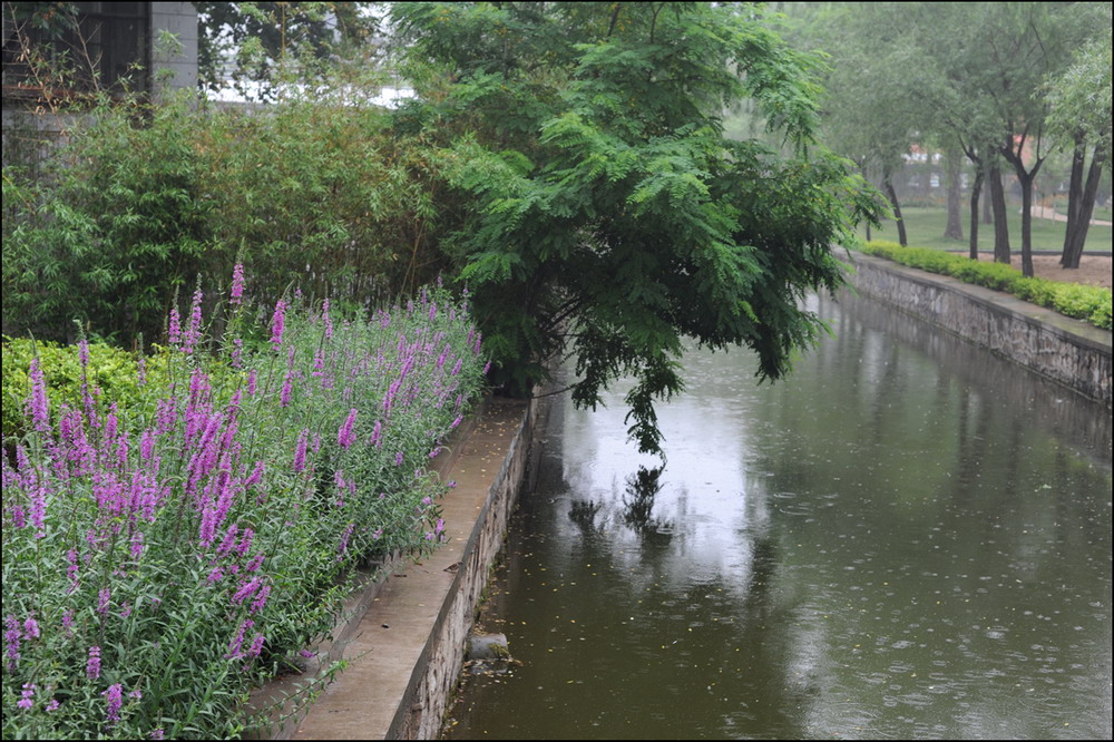 雨 摄影 xiexie