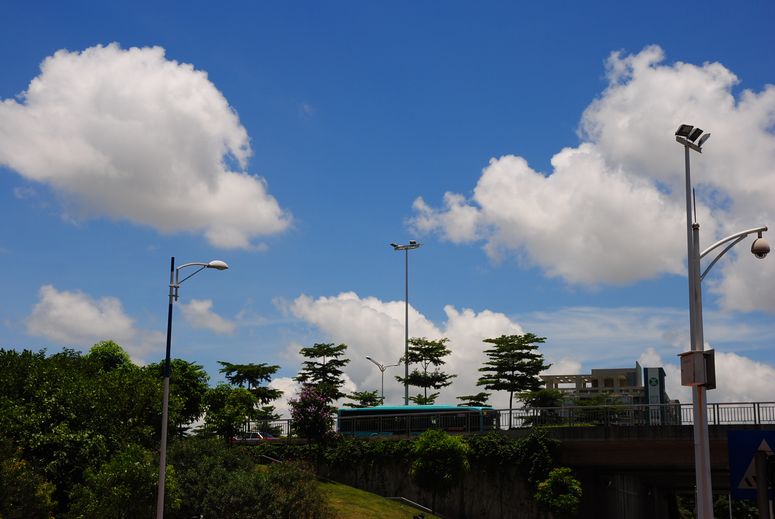 我的城市 摄影 欲下寒塘