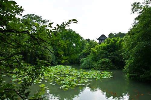 草堂一景 摄影 乙休