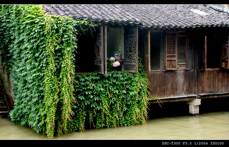 乌镇小屋 摄影 荷舞东风