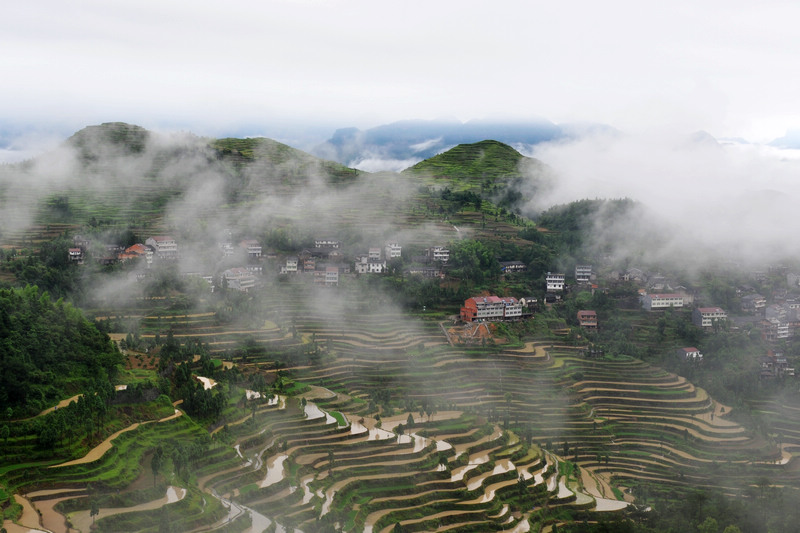 茗岙晨曦 摄影 叶韵