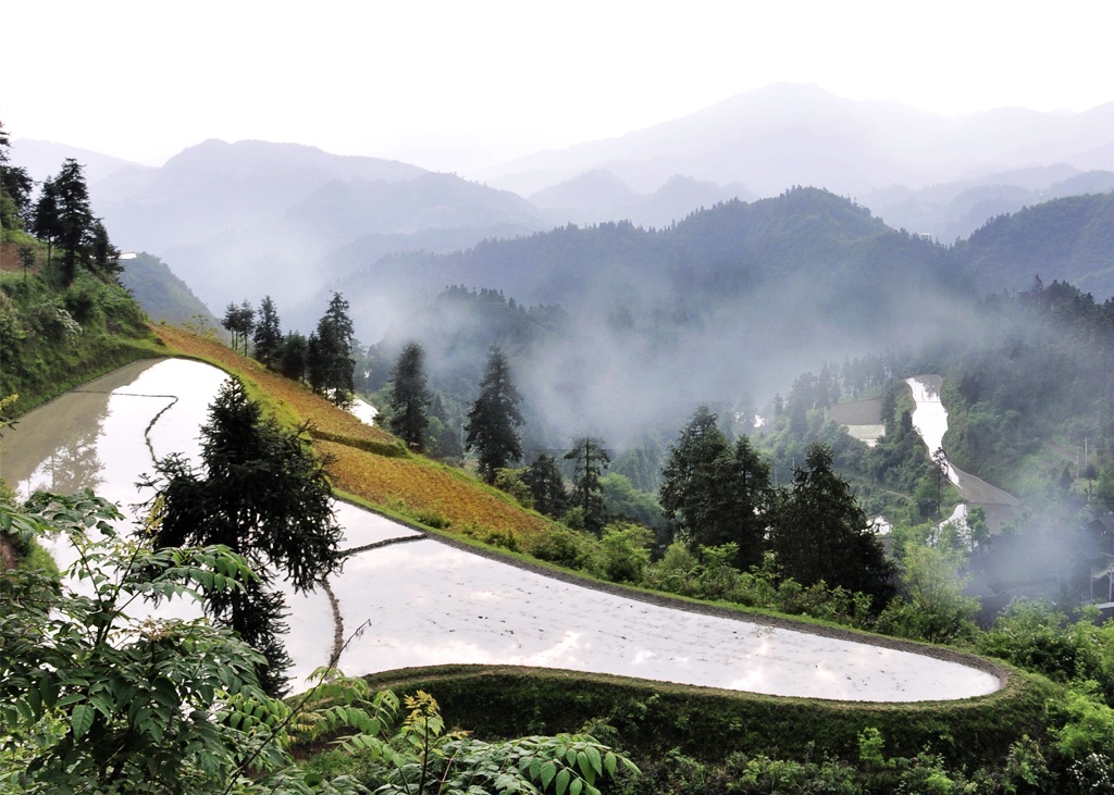 大山深处 摄影 河北人