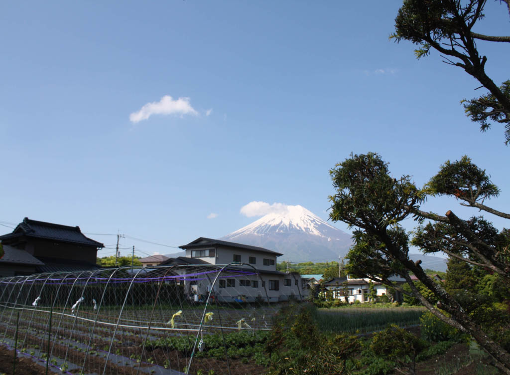 远望富士山 摄影 喜得乐