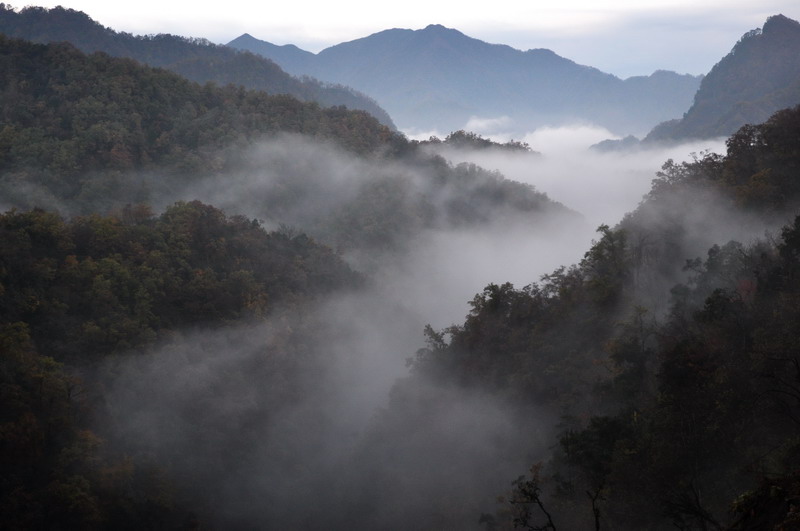 光雾山 摄影 季安