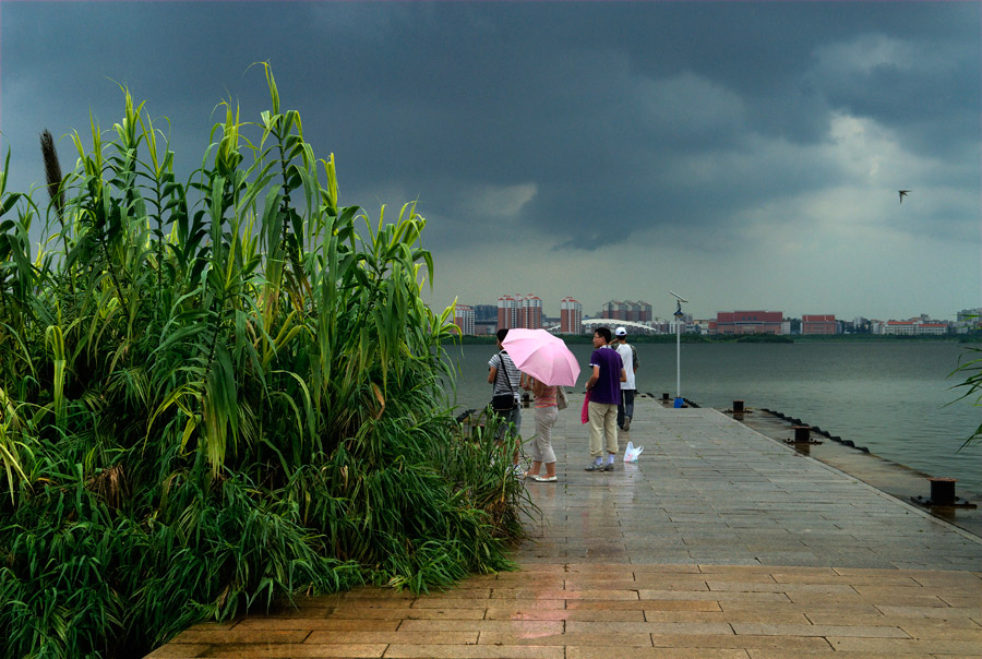 雨后 摄影 youya