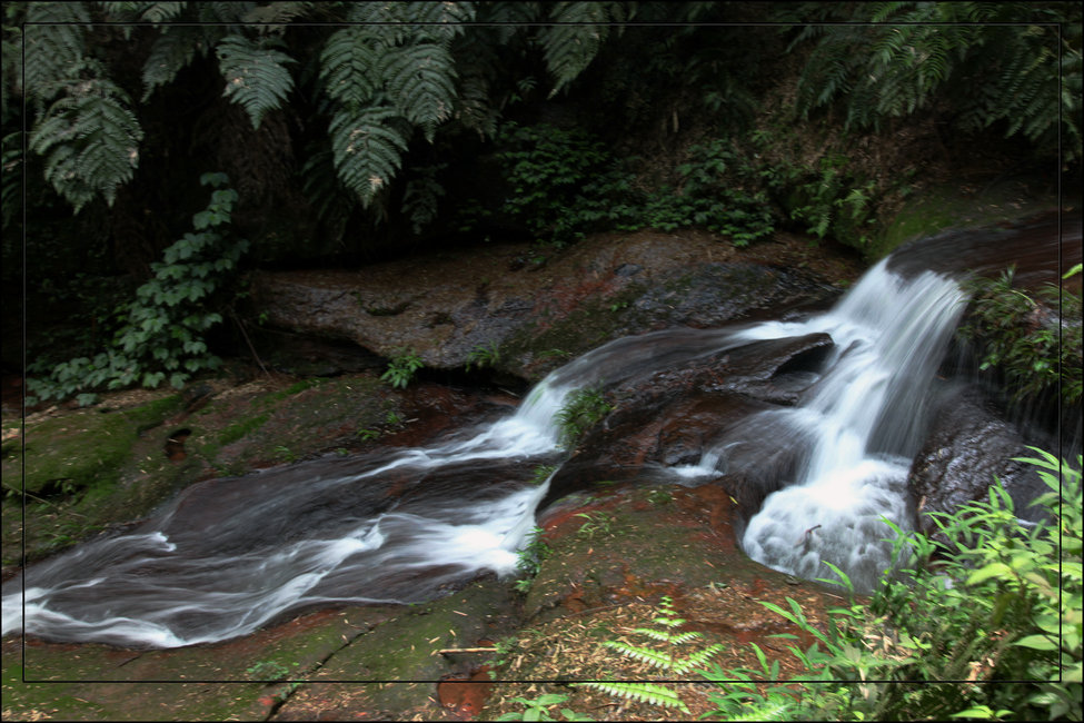 蜀南竹海忘忧谷 摄影 峡谷山人