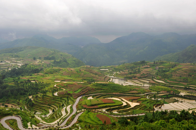 五月的茗岙 摄影 叶韵