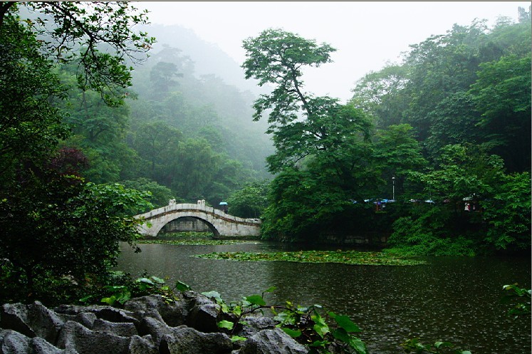 雨景 摄影 雨竹清风