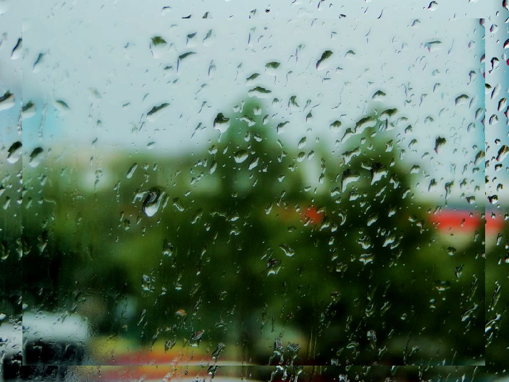 那场雨后…… 摄影 静候的精灵