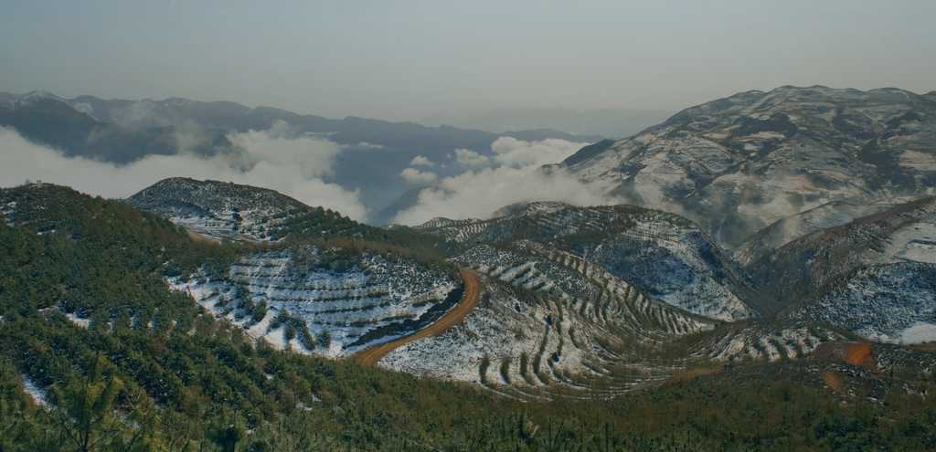 春雪 摄影 jy老嘎