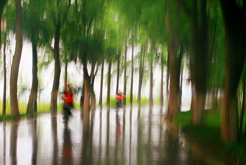 江南新雨后 摄影 虞山石