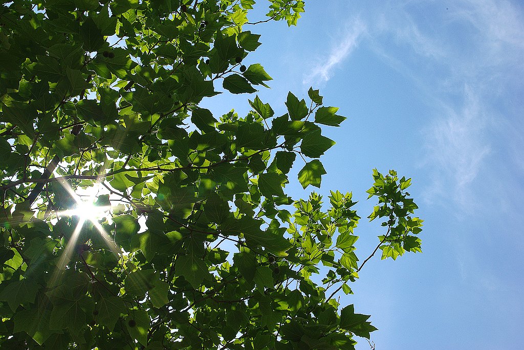 恋空3 摄影 凤凰飞舞