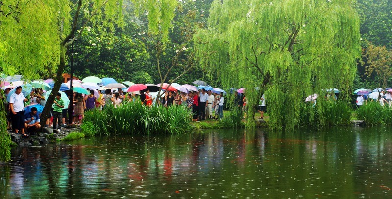 烟雨西湖 摄影 风雨1978