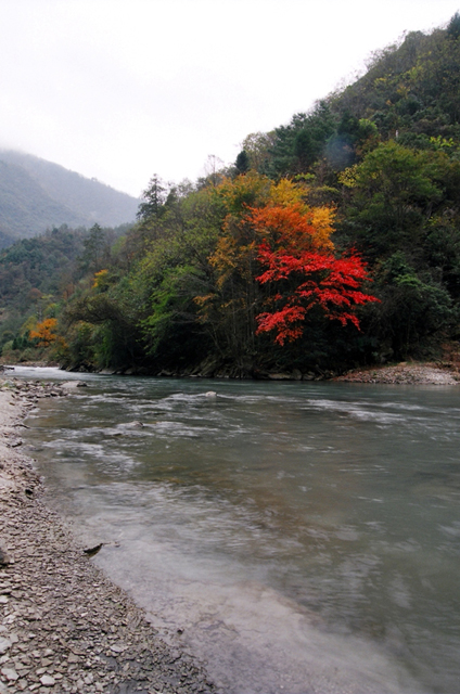 神木壘秋色3 摄影 通川橋