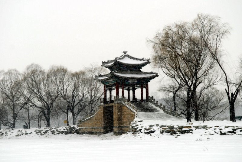 颐和园雪景 摄影 一品芝麻