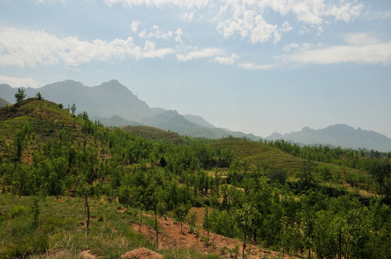 山坡上 摄影 Laotaitai