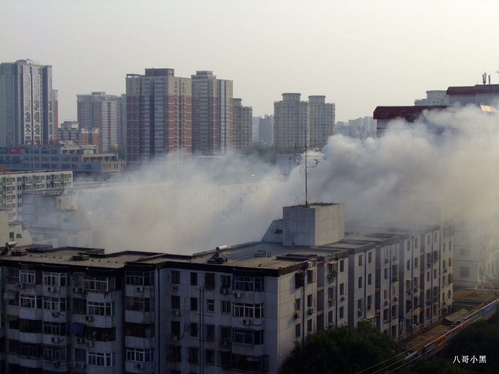 偶发事件 摄影 八哥小黑