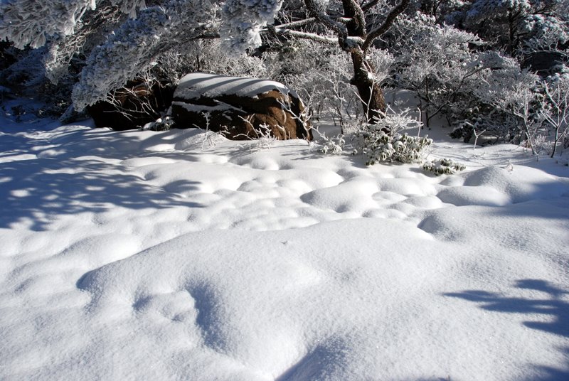 雪 摄影 难得胡涂