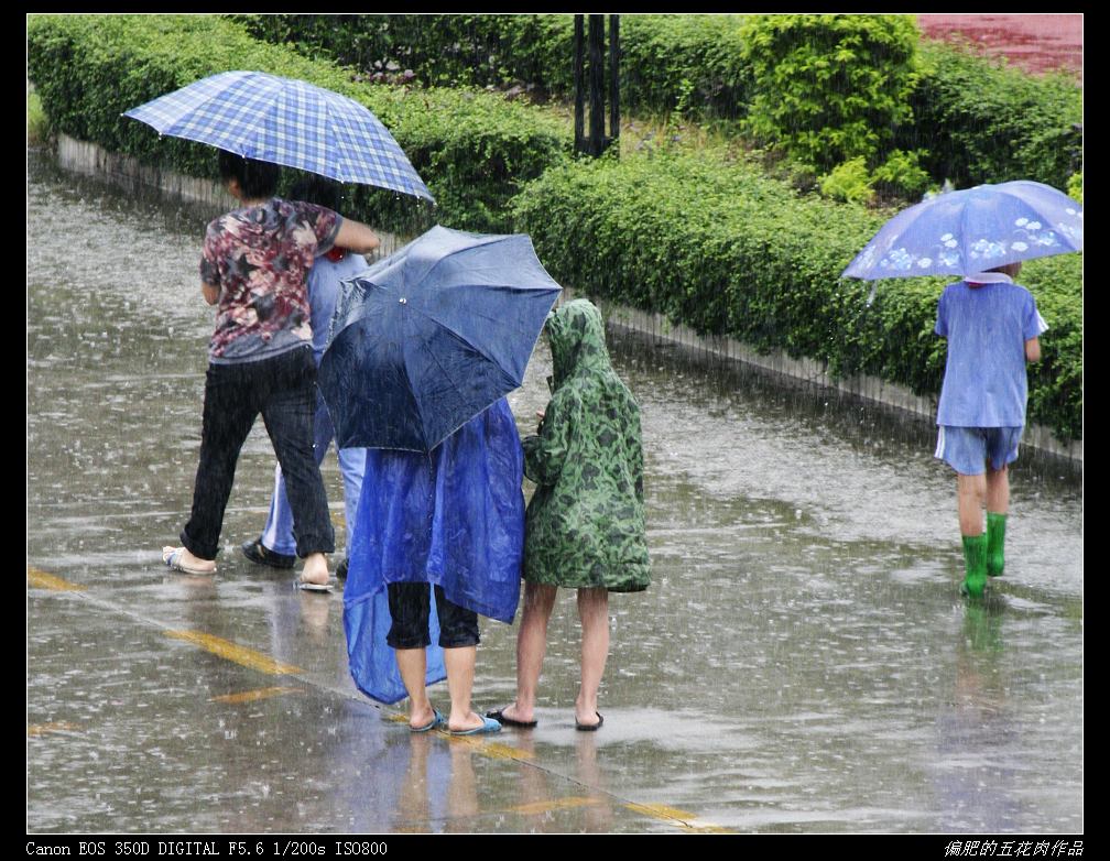 雨中即景4 摄影 阿万