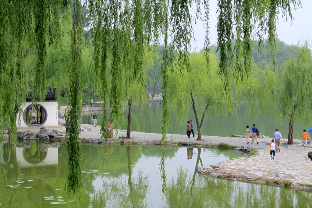 夏之景（14） 摄影 TT1948