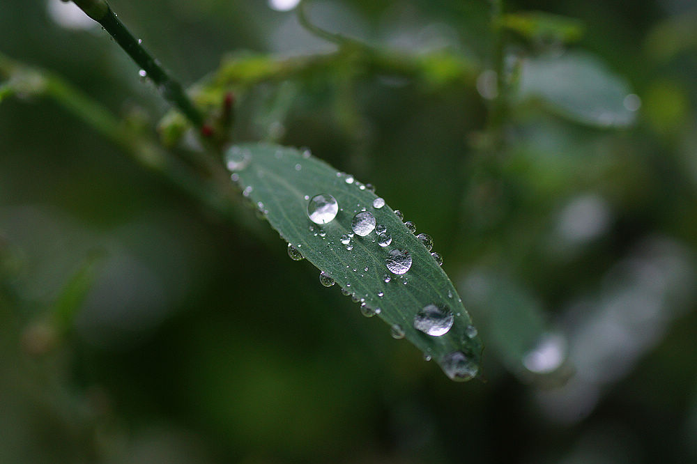 雨后 摄影 老山石