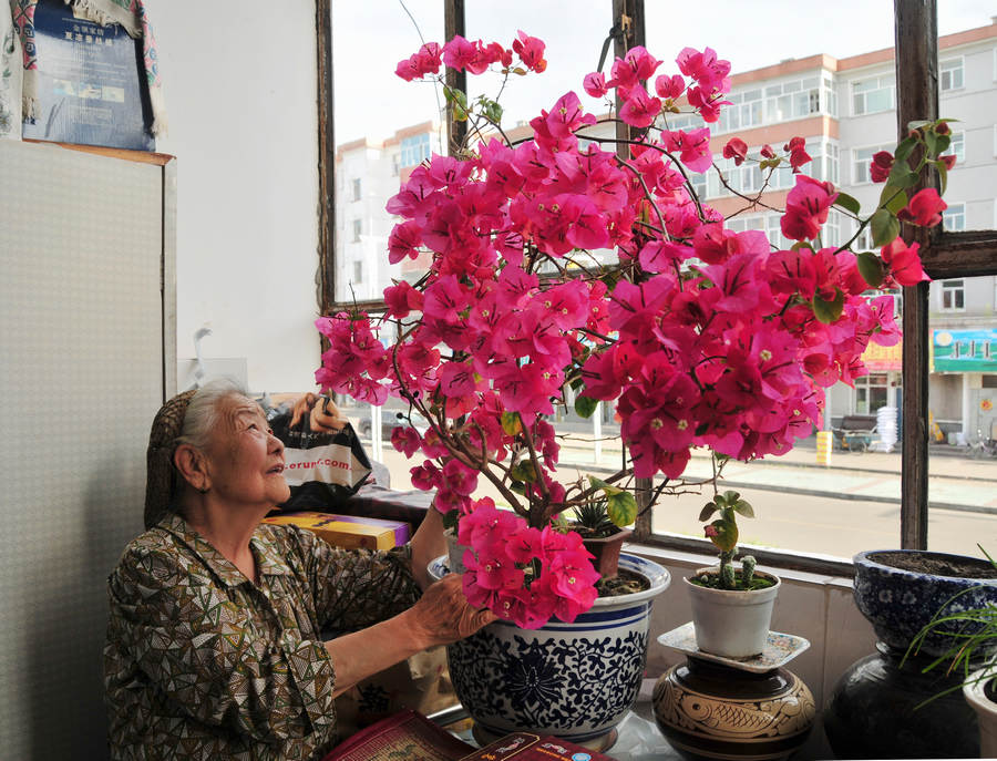 母亲和她养的花 摄影 草原图拉嘎