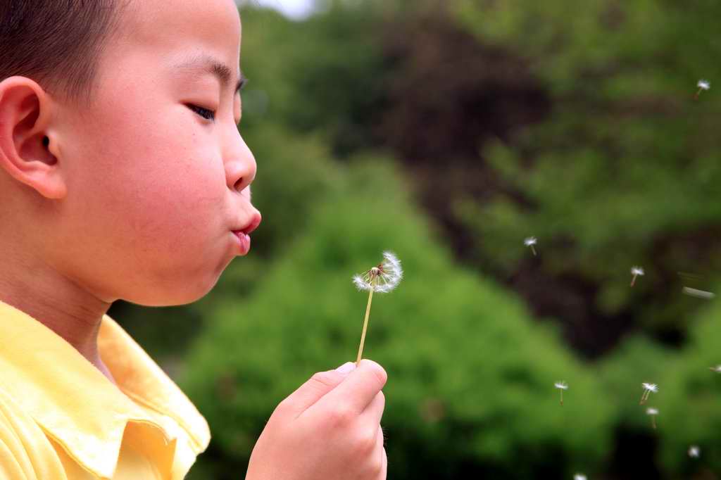 我心飞翔 摄影 水又一族