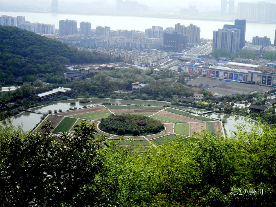 八卦田 摄影 彼岸的风景