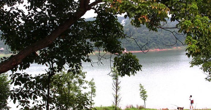 夏日风景(2) 摄影 爱兰居士