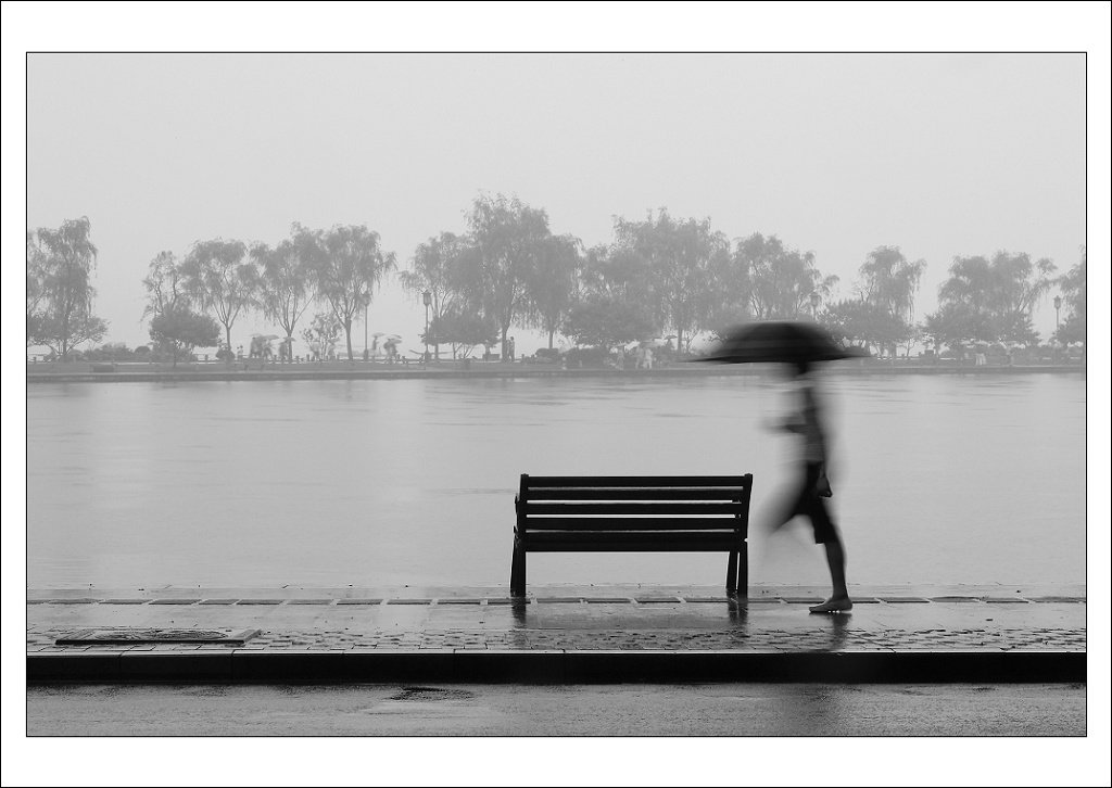 长椅故事（7）——雨中漫步 摄影 我心依旧