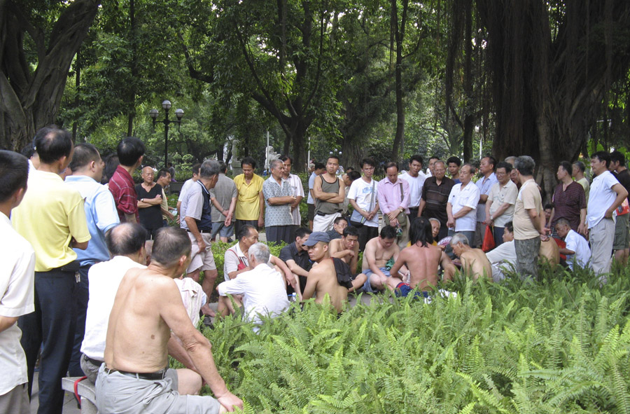 酷暑下的故事会 摄影 路明